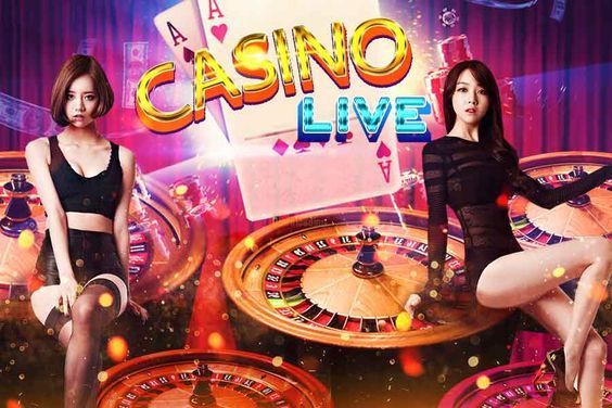 TOTO Casino Live Betting